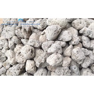 Đá lông vũ - nham thạch trắng -Vật liệu lọc cao cấp dành cho hồ cá Koi 1kg