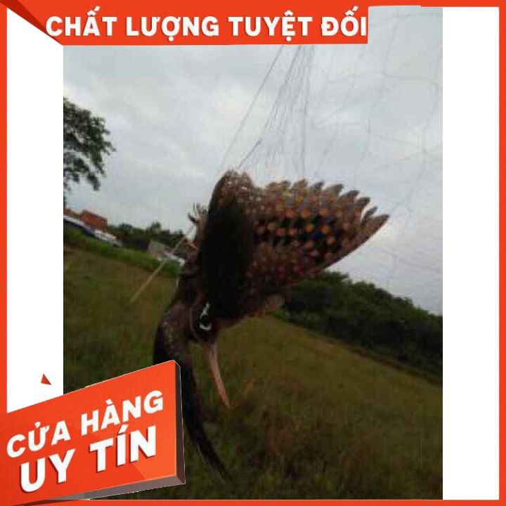 (HÀNG GIA CÔNG) Lưới Bẫy Chim Cu Gáy Gà Đồng Lưới Đánh Chim Cao 7m Mắt Lưới 8cm Hàng Thái Lan Đủ Size