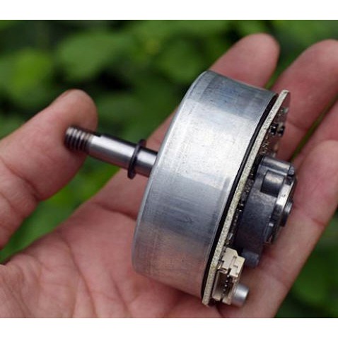 Động cơ không chổi than 24v