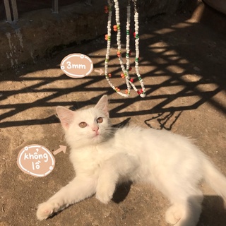 Vòng cổ cherry 🍒 | vòng cổ hạt cườm hình cherry xinh xắn | necklace by dacrab.town