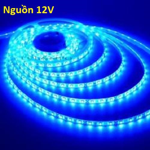 [GIÁ HỦY DIỆT] Cuộn Led dây dán 5m 5050 có keo đơn màu Xanh Dương