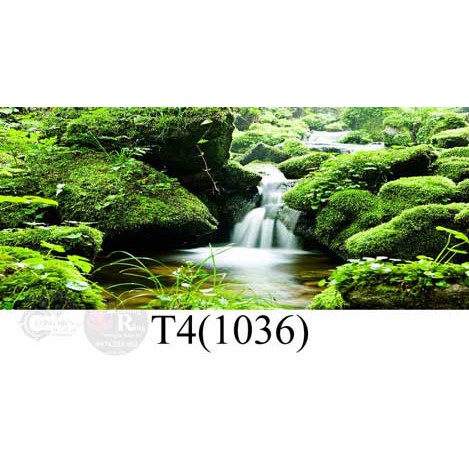 Tranh Decal 3D Dán Bể Cá Cảnh, Bể Thủy Sinh Mẫu 9