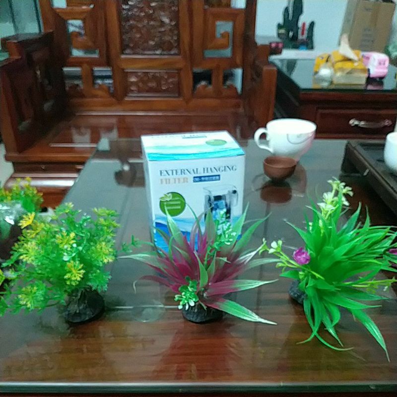 Cây nhựa trang trí bể cá