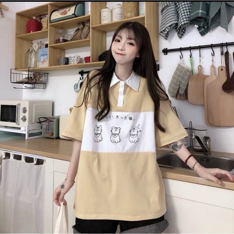 Áo polo 3 con mèo from rộng | BigBuy360 - bigbuy360.vn