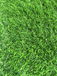 Cỏ nhân tạo 2,5 cm