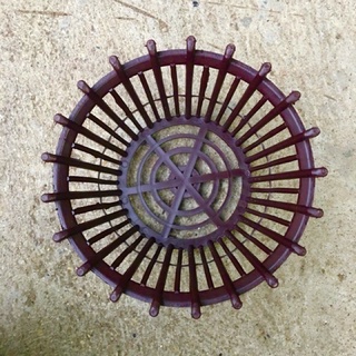 chậu nhựa trồng lan 23*14cm