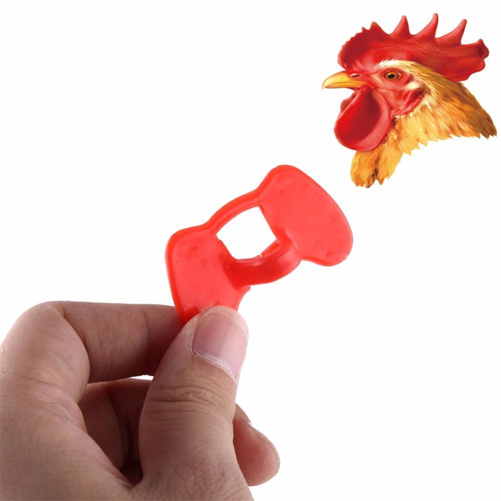 20 mắt kính cho gà