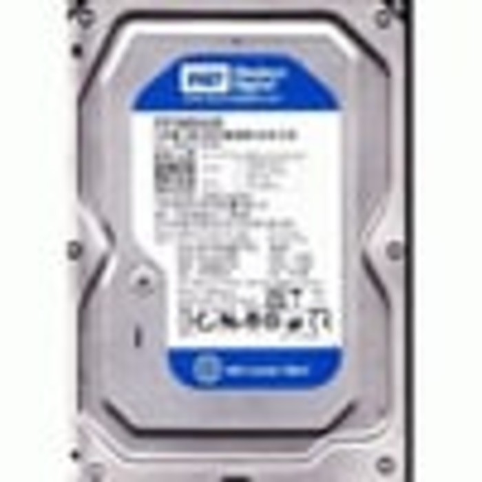 Ổ Cứng Bên Trong 3.5 "160Gb Sata Wd 1 Th Warranty (Hdd 160 Gb Wd)