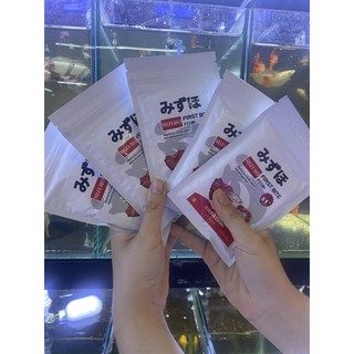 🅱🅴🆂🆃Cám Mizuho Guppy Betta Cá Thuỷ Sinh