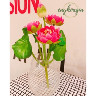 Cây Giả - Hoa Giả - Hoa Sen Cung Đình