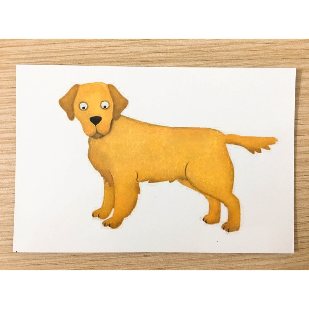 Thẻ Oxford Phonics World level 1 - 104 Thẻ