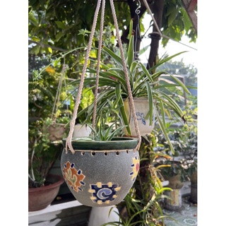 chậu hình tim trồng cây