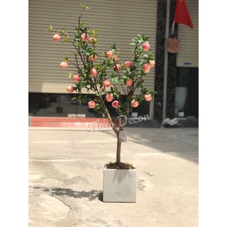 Cây đào tiên 1m2( ảnh thật tự chụp)