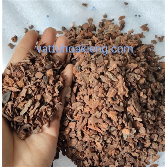 Vỏ thông xay đỗ ( hạt đậu ) ( 500gr )