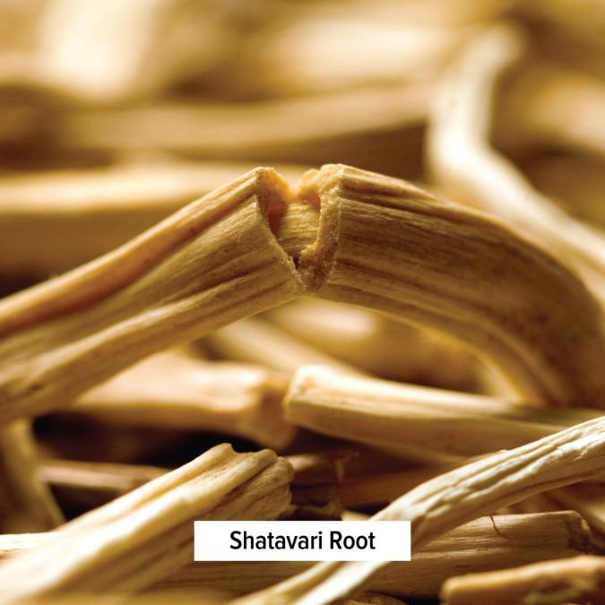 Banyan Botanicals - Shatavari tablets