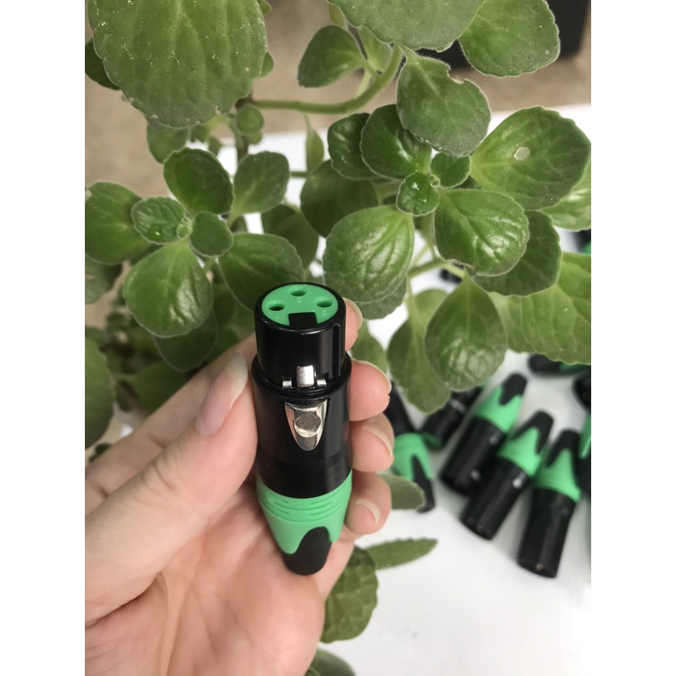 Jack  hàn Canon  - giắc cannon KIWI, zắc rời canon âm - dương