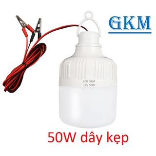 Bóng đèn ắc quy 12V 50w loại đầu kẹp và loại đuôi xoáy. Bóng đèn kẹp bình ắc quy 12V
