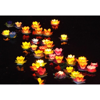 ĐEN HOA ĐĂNG LÀM BẰNG MÚT 16  CÁNH 3  LỚP 7*10 Cm 1 CÁI+ ĐÈN CẦY.BÁN 10 CÁI TRỞ LÊN