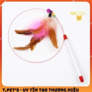 CẦN CÂU MÈO DÂY THÉP.