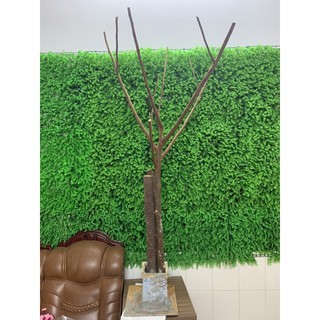 1 cành hoa anh đào Lộc