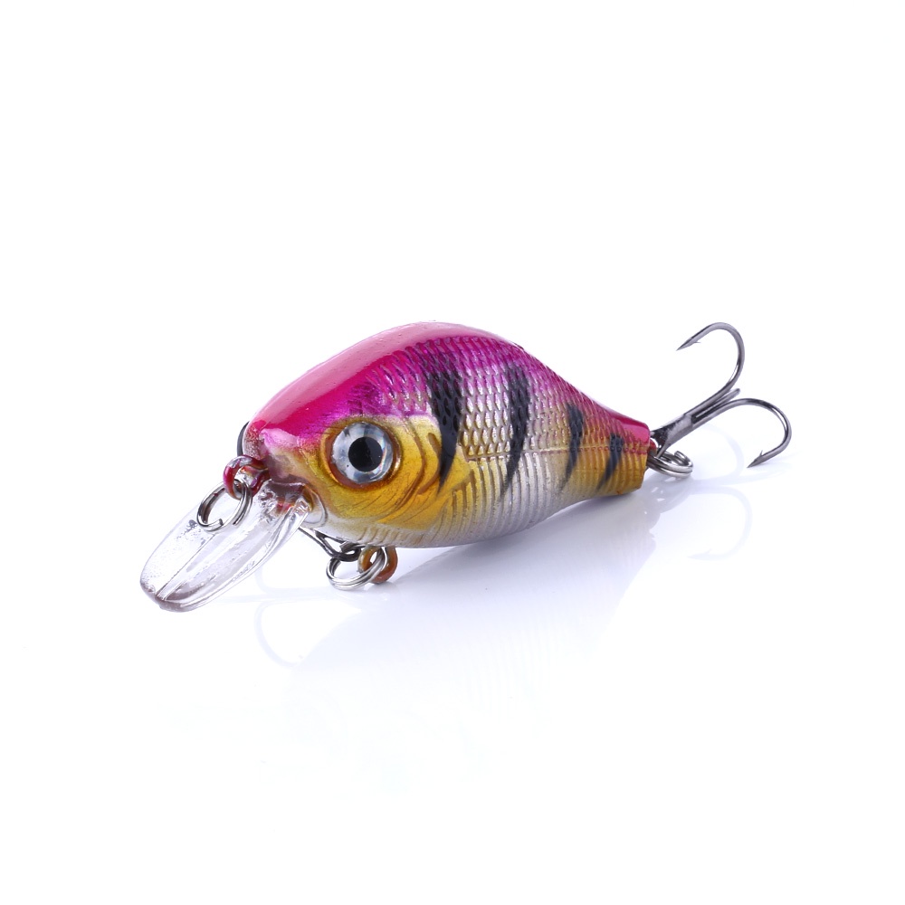 Mồi câu cá giả bằng nhựa cứng 5.5cm 8G