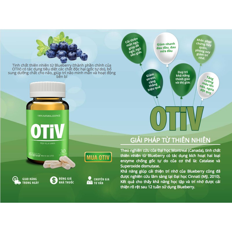 OTIV giúp bổ não cải thiện mất ngủ đau nửa đầu suy giảm trí nhớ phòng ngừa và giúp cải thiện các bệnh lý mạch máu não