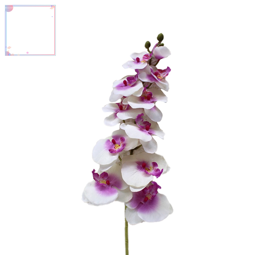 Chậu Hoa Lan Giả Trang Trí Nội Thất