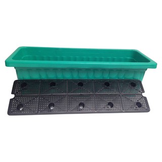 Bộ Sản Phẩm Trồng Cây