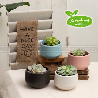 Chậu để bàn đường kính 6cm 9cm 12cm