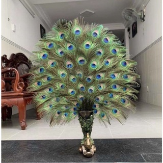 Bình hình con Công chuyên cắm lông công