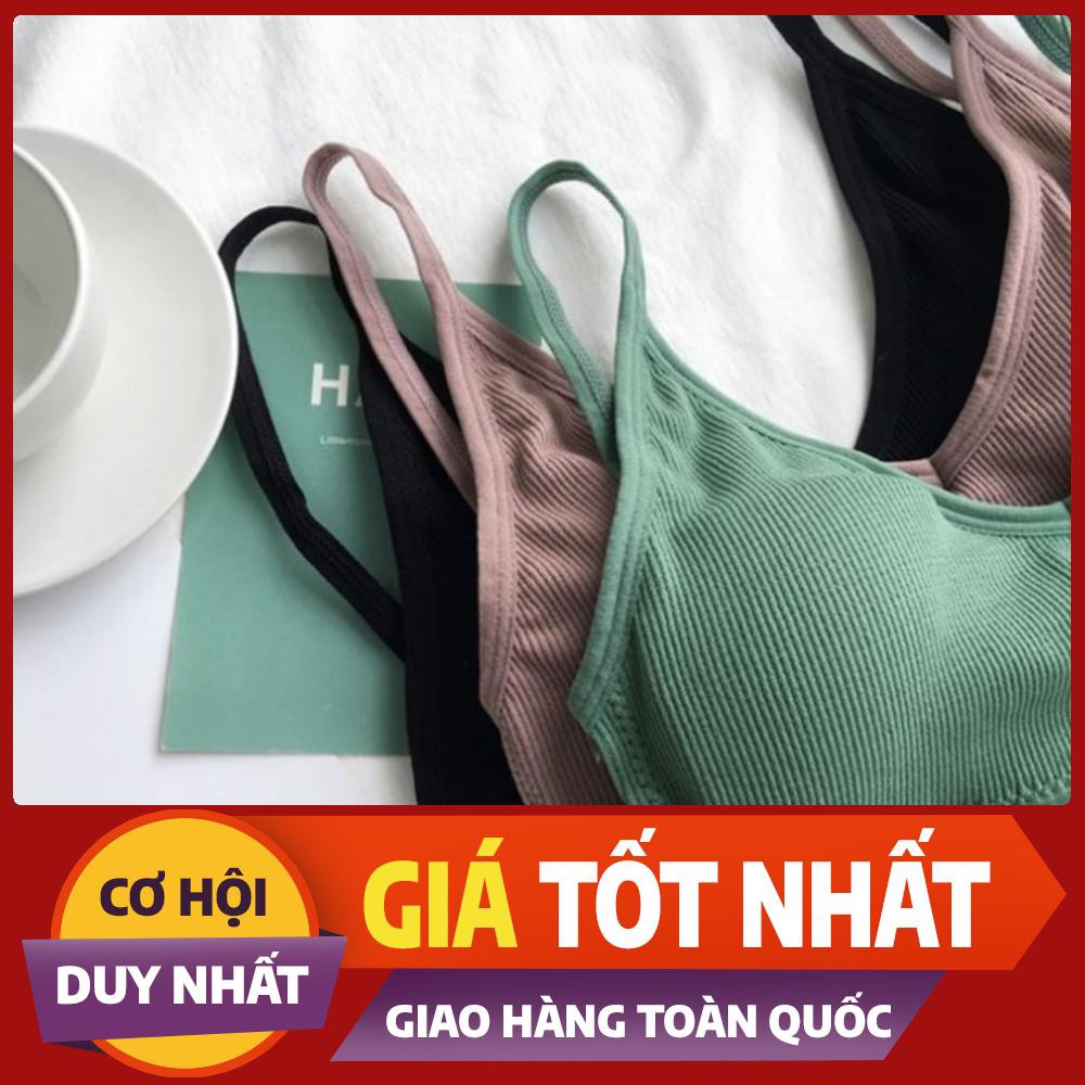 [Chỉ Hôm Nay]  Áo Bra gân tăm lưng chữ U sang chảnh MS367