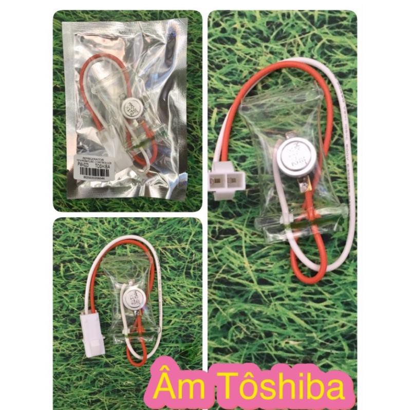 Combo 10c Âm Tủ Lạnh Toshiba