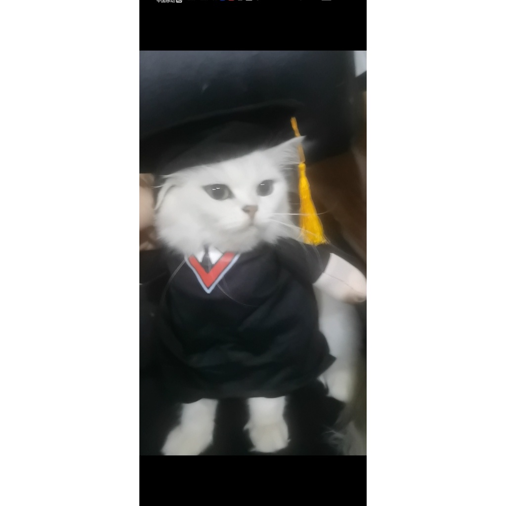 Nón Tốt Nghiệp Hình Phi Hành Gia Màu Đen 2022 Cho Thú Cưng