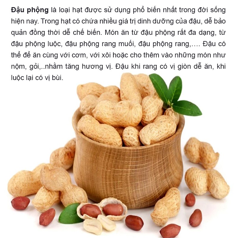 500g Đậu Phộng Sống ( Túi Zip) Rồng Con - Đậu mới, hạt đậu to - Đồ ăn vặt ngon rẻ
