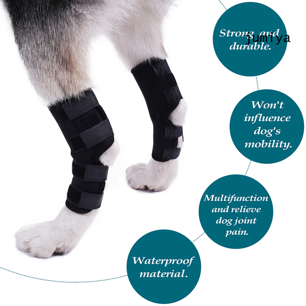 DSP 1 Pair Shockproof Pet Dog Legs Brace Knee Hock Support Surgical Wound Protector