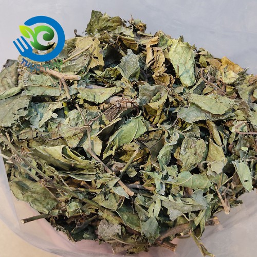 Cây xạ đen Hòa Bình sấy khô thanh nhiệt