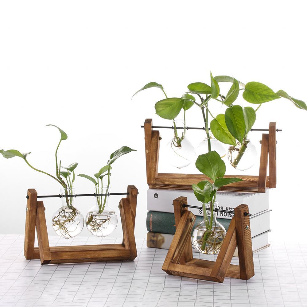 DIACHAVN Khung Gỗ Trồng Cây Thủy Canh Trang Trí Nhà Cửa