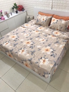 SET CHĂN GA GỐI COTTON POLY TRẦN BÔNG
