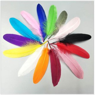 10 lông vũ cứng 15-20cm nhiều màu