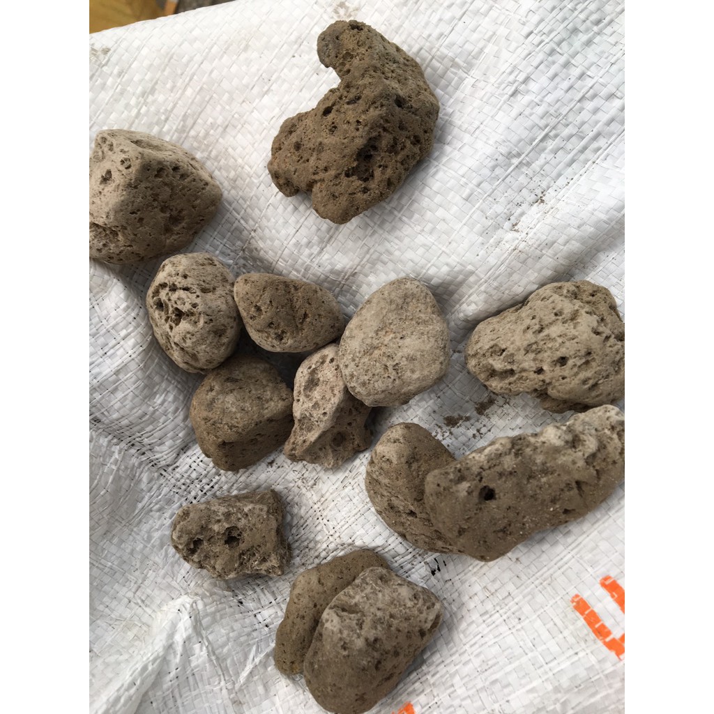 Đá bọt cỡ 2cm đến 3 cm -1 kg