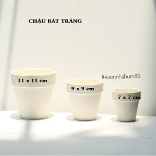 Chậu đất nung