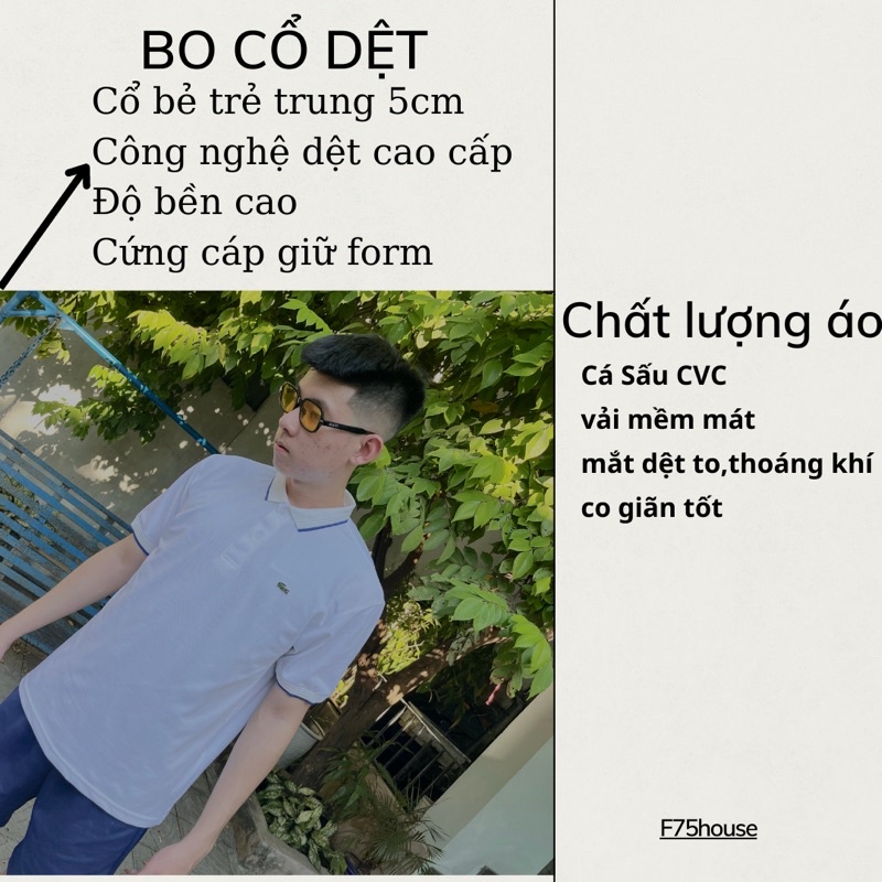 Áo Thun Polo Nam Hãng Cá Sấu Thiết Kế Bo Sọc Hoạ Tiết Gân Chìm Chất Liệu CVC Cá Sấu 4 chiều Không Nhăn,Xù,Bao Nhão