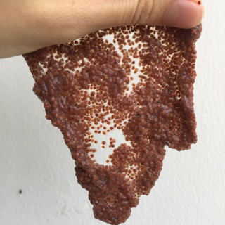 Hạt ngũ hoa 1kg- Loại 1Handmade