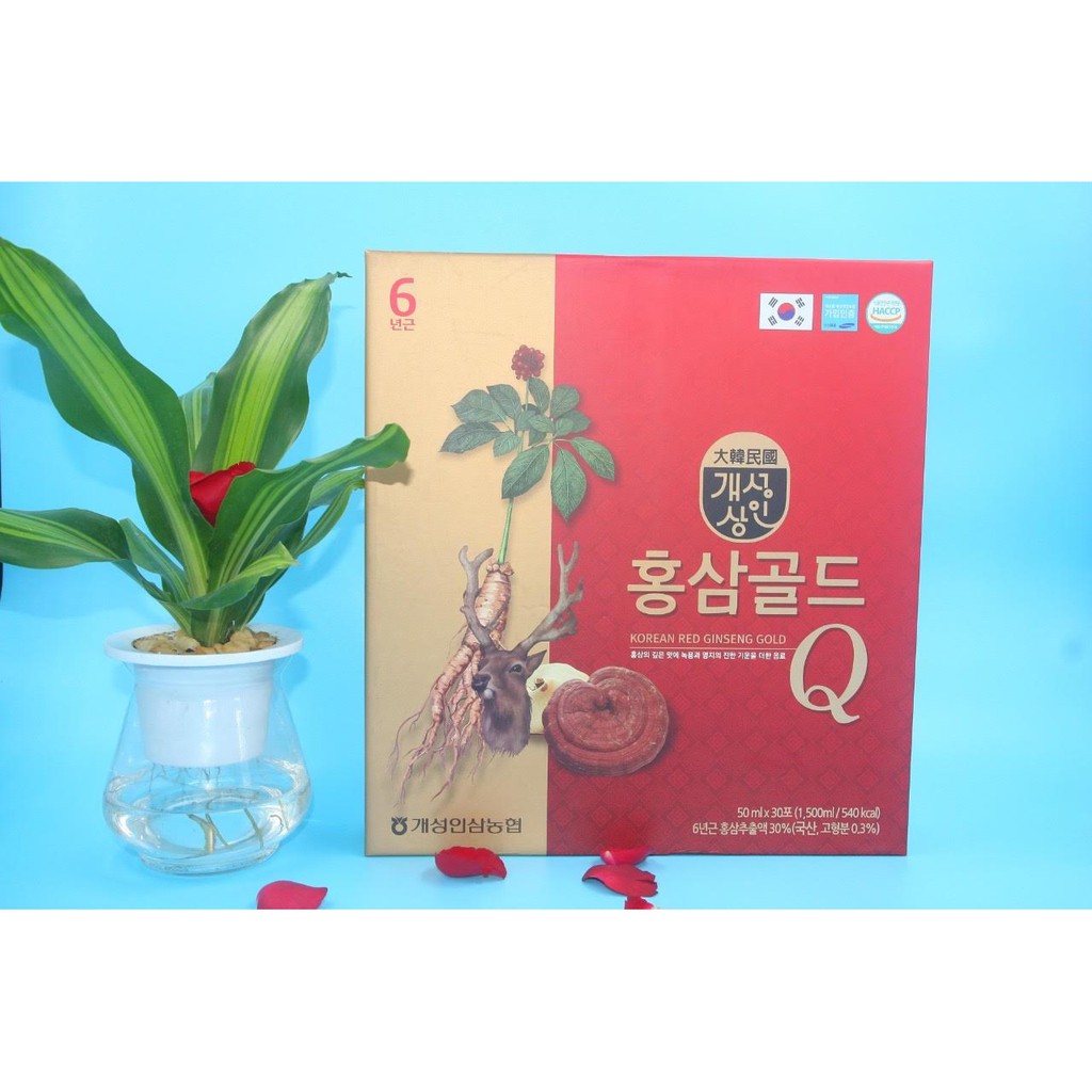 - Nước Hồng Sâm Linh Chi Nhung hươu Q Hàn Quốc