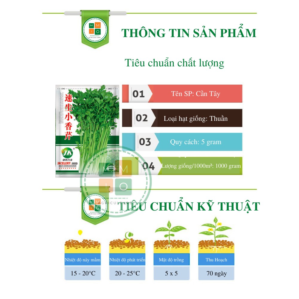 Hạt giống cần tây