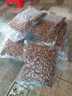 🥜 HẠT KƠNIA 🍃🍃CÓ SẴN