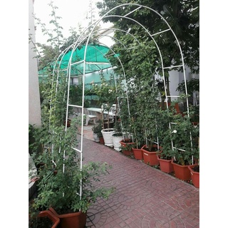 Khung vòm cho hoa hồng leo, cây trang trí màu trắng rộng 1,4m cao 2,4m, làm từ thép ống 13mm