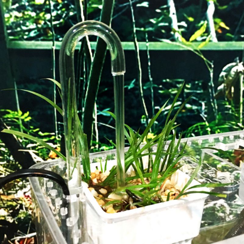 Đầu nối bơm khí CO2 hình chữ U cho bể cá