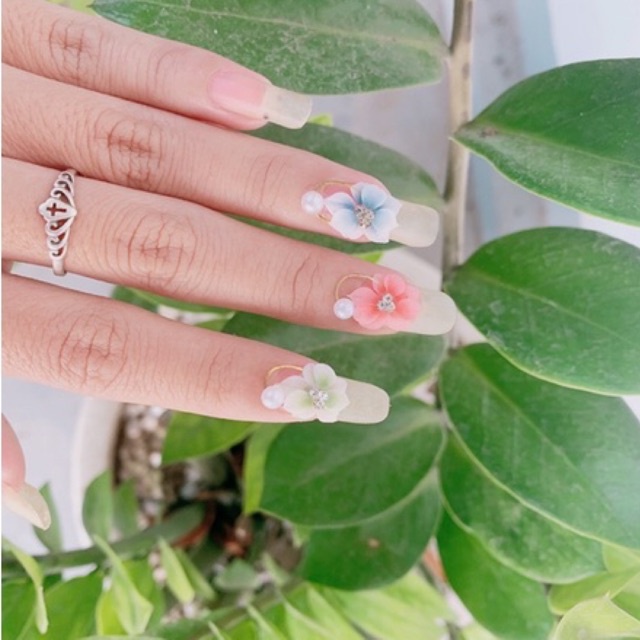 hoa bột-hia nails( mai cham )