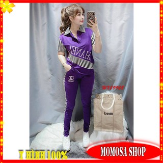 Đồ bộ nữ thun cotton quần dài - momosa